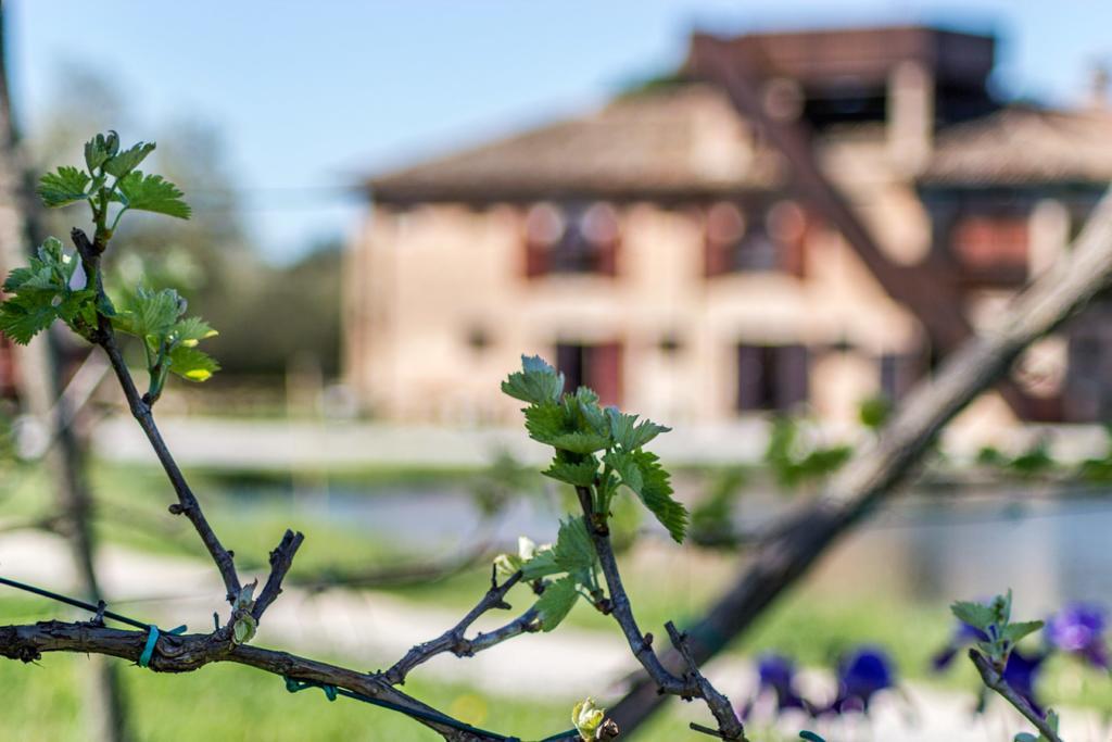 Villa Valgrande Bibione Casone Exterior foto